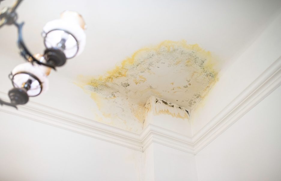 Preventing Water Damage in Your Home: Insights from a Plumbing, Heating and Air Conditioning Company in Sycamore, Illinois